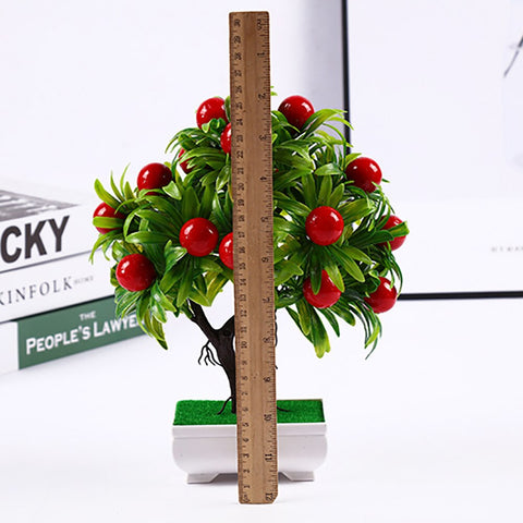 Beautiful Fruit Bonsai Tree for Home Decor