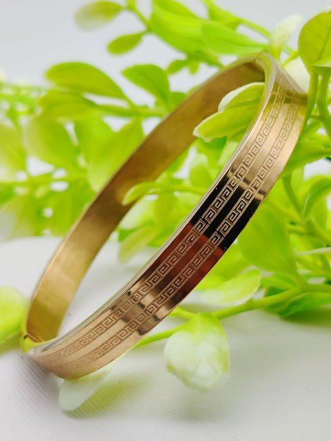 Adjustable Cartier Heart Charm Bracelet – Imported Luxury Gold Bracelet | Best Quality Artificial Bracelet For Girls &amp; Women | Bracelet For Every Occasion | Elegant Design ✨