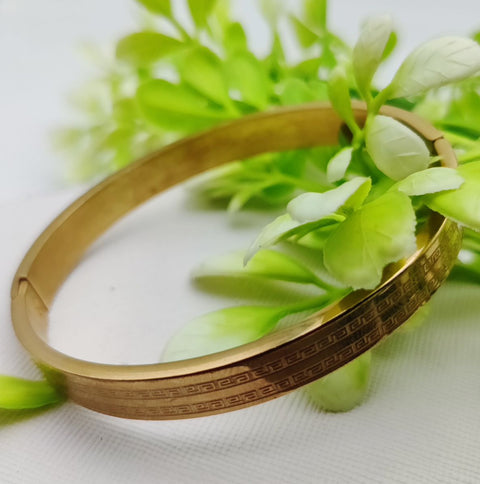 Adjustable Cartier Heart Charm Bracelet – Imported Luxury Gold Bracelet | Best Quality Artificial Bracelet For Girls &amp; Women | Bracelet For Every Occasion | Elegant Design ✨